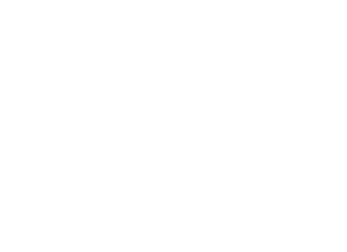 Möllmann Group